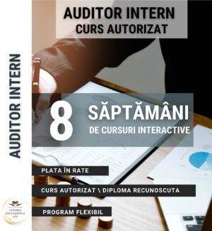 BUSINESS & MANAGEMENT - Curs Auditor Intern - 241105