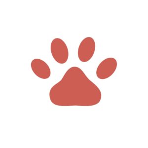 Cursuri calificare ATP 58 @Centrul Educational ATP SANITAR VETERINAR