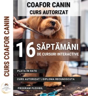 SANITAR VETERINAR - Curs Coafor Canin - 324004