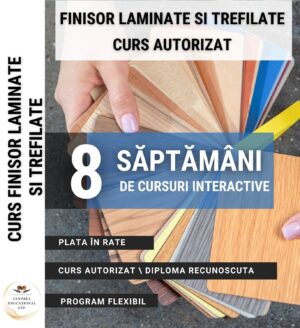 TEHNIC - Curs Finisor Laminate și Trefilate - RO/02/071/222